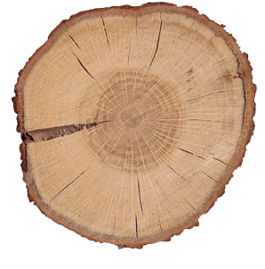 oak